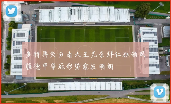 多特再失分南大王无奈拜仁独领风骚德甲争冠形势愈发明朗