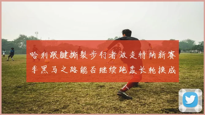 哈利跟腱撕裂步行者放走特纳新赛季黑马之路能否继续跑轰长轮换成关键