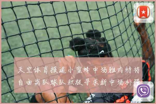 天空体育报道小蜜蜂中场雅内特将自由离队球队积极寻求新中场补强